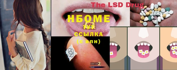 винт Лагань