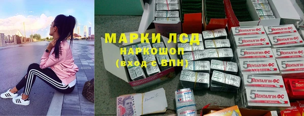 винт Лагань