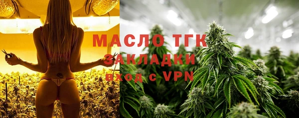 винт Лагань