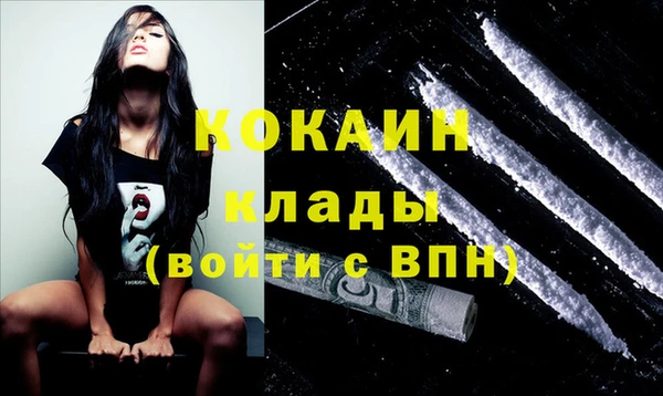 винт Лагань