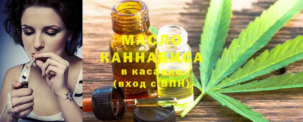винт Лагань