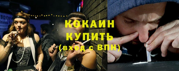 винт Лагань